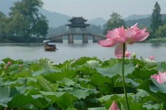 研究所的基因测序中心吸纳一些重要的合作伙......《棋盘与网络》摘录